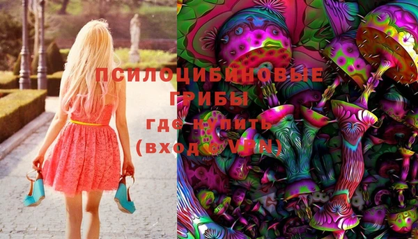 прущий лед Белокуриха