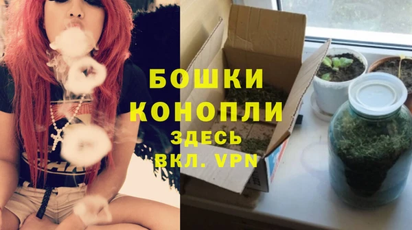 прущий лед Белокуриха