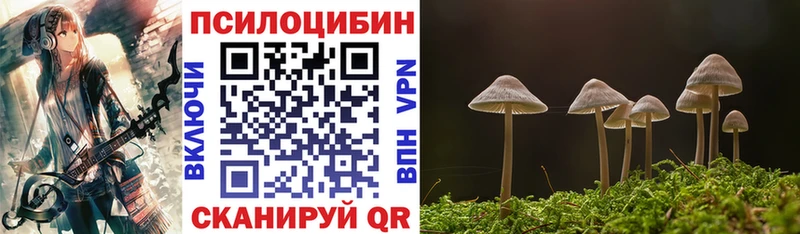 Галлюциногенные грибы MAGIC MUSHROOMS  Заинск 