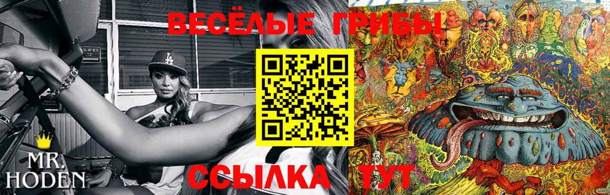 Галлюциногенные грибы MAGIC MUSHROOMS  Вход с VPN  Заинск 