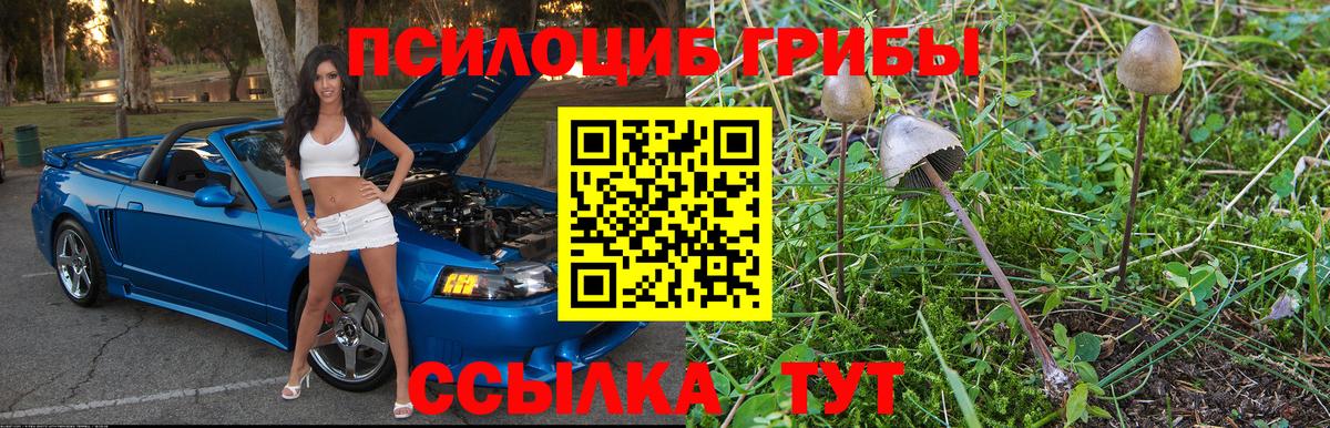 МЕФ  ГАШИШ  Бошки Шишки  Героин  Метамфетамин  Амфетамин   Вход с VPN  Alpha PVP СК   Заинск  Меф   Cocaine 